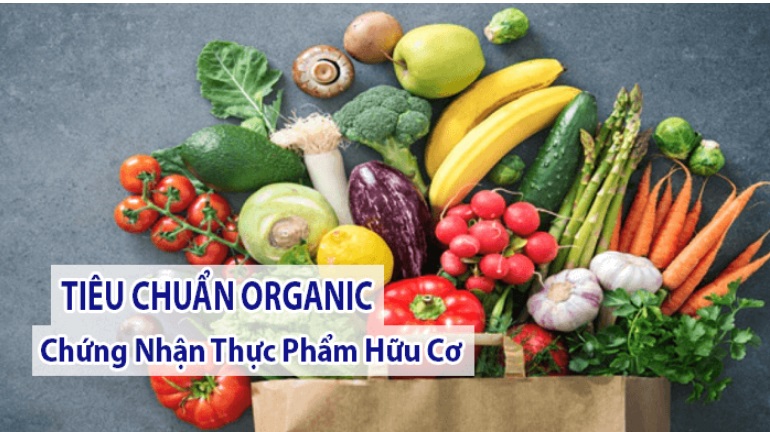 Hướng Dẫn Làm Giấy Vệ Sinh An Toàn Thực Phẩm Đạt Chuẩn Tại TP.HCM